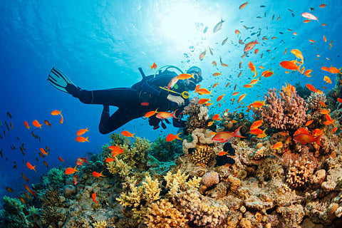 How to choose a diving mask with corrective prescription lenses